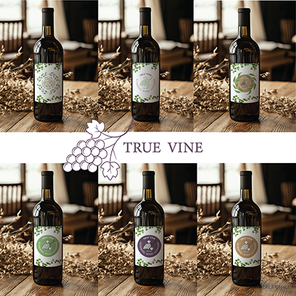 True Vine Logo Development